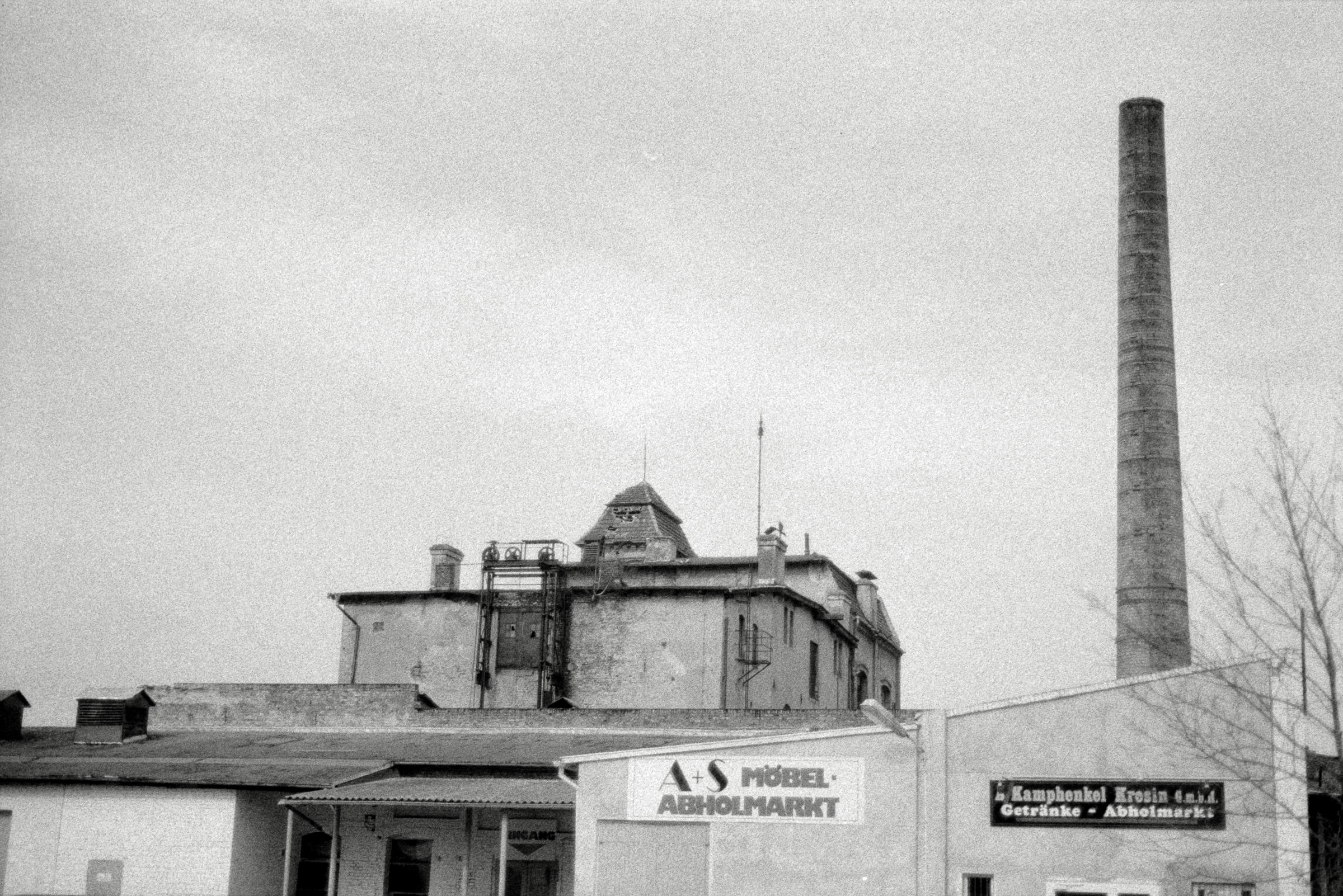 AHP F1993 03 003 sc240902 img30 NLP